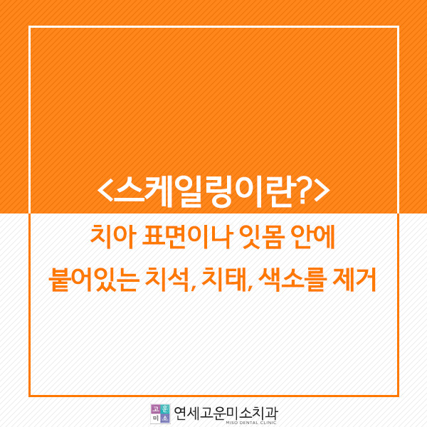 목동치과 새하얀 치아와 자신감 넘치는 미소를 원하는 이유 건강한 매력 기준